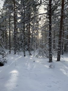 Läs mer om artikeln Sporting Kristinas utekväll på Bötombergen